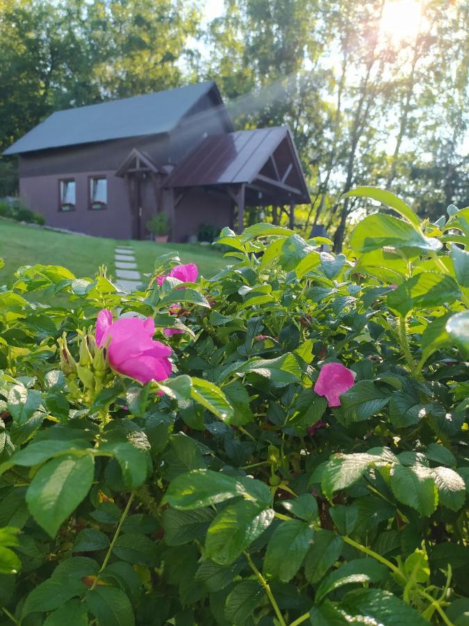 U Tomíčků Paseky nad Jizerou Exterior foto