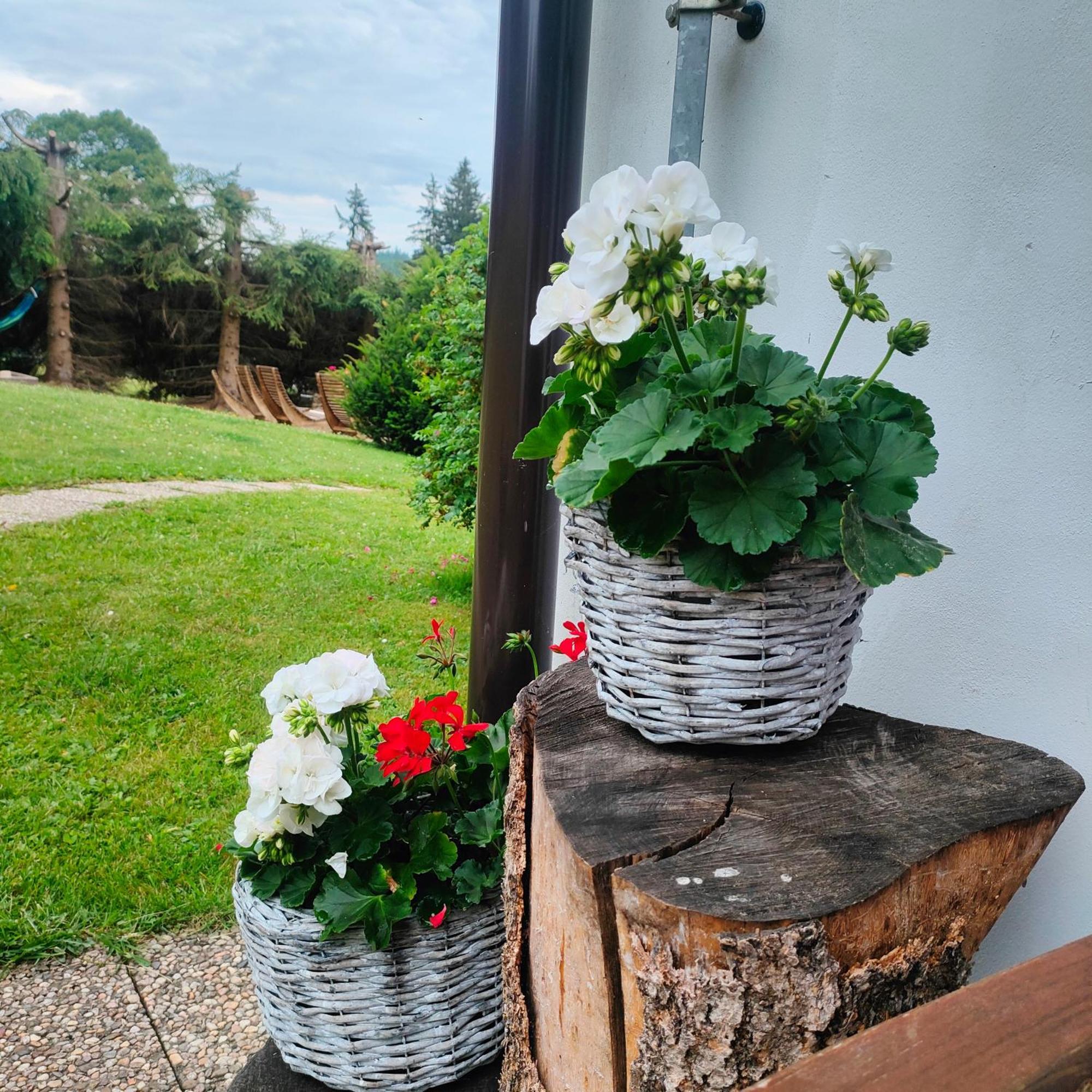 U Tomíčků Paseky nad Jizerou Exterior foto